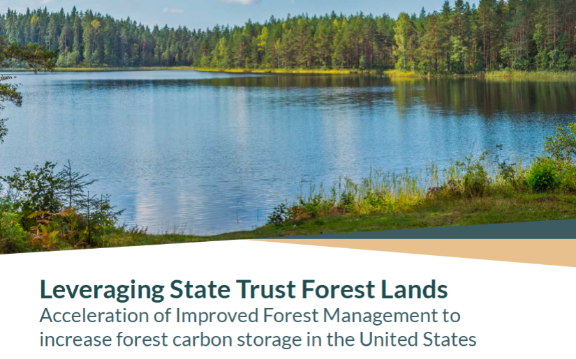 Leveraging State Trust Forest Lands